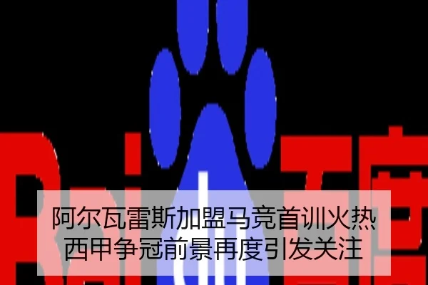 阿尔瓦雷斯加盟马竞首训火热 西甲争冠前景再度引发关注