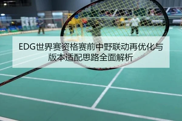 EDG世界赛资格赛前中野联动再优化与版本适配思路全面解析